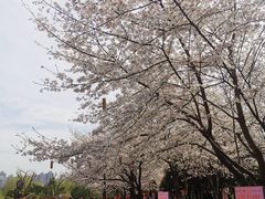 -堤角公园