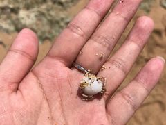 -白沙湾海滩
