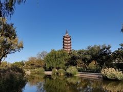 -西海子公园