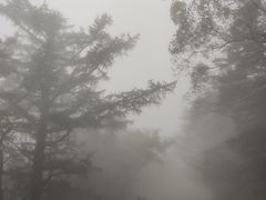 -富士山吉田線五合目