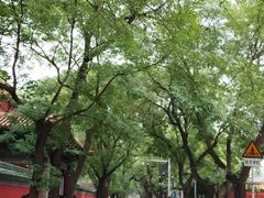 -北京国子监胡同