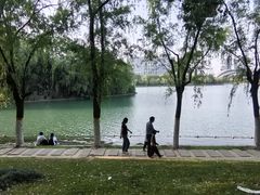 -天鹅湖体育公园