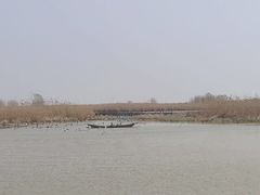 -盐城丹顶鹤湿地生态旅游区