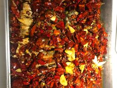 -鱼酷活鱼烤鱼(恒隆广场店)