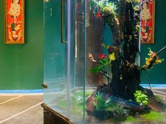-泰悠谷养生SPA(世茂商业街店)