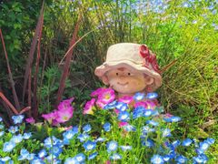 -共青国家森林公园-售票处