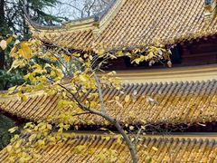 -狼山风景名胜区