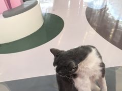 -昆山招商花园城