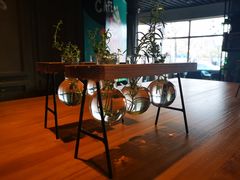 -ZING COFFEE 镜咖啡