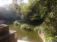 -九龙公园