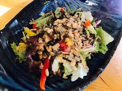 -天正河鲀·河豚亭(大连店)