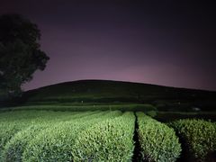 -听风阁农家私房菜茶楼(龙坞店)