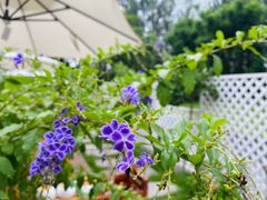 -墨居上隐·院子里火锅(峨眉店)