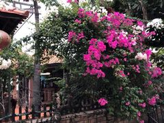 -越海渔村
