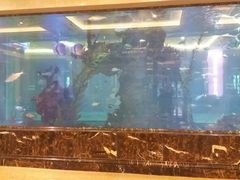 -碧桂园凤凰城酒店(南京店)