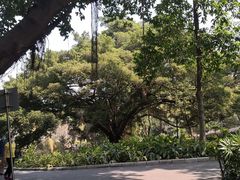 -晓港公园
