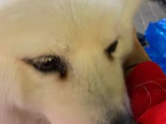 -翠亭酒家(山西南路店)