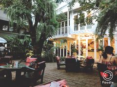 -Fern Forest Cafe