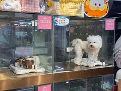 -FAELING PETS美天灵宠物(富力广场店)