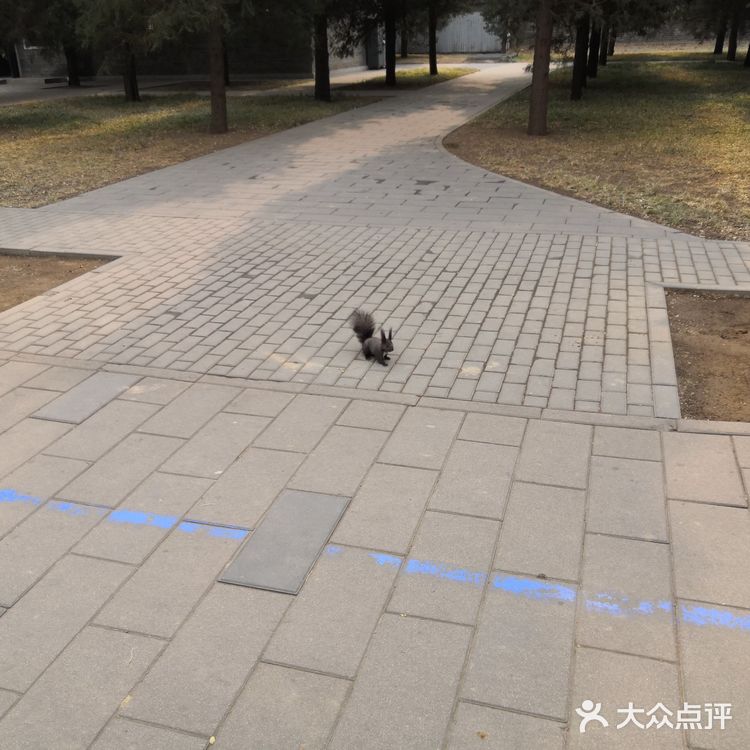 门票价格  公园分淡旺季。旺季联票28元