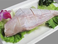 耗儿鱼-红鼎坊·老成都火锅(新南门店)