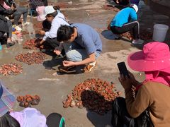 -宋记冕宁土菜馆(海门渔村二店)