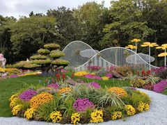 -上海共青森林公园