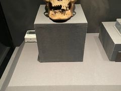 -贵州省博物馆(新馆)