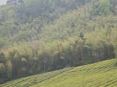 -敬亭山风景名胜区