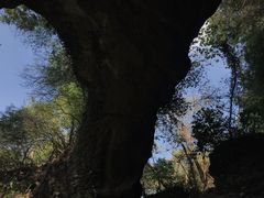 -南京市无想山景区