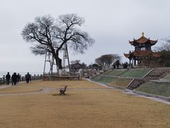 -观潮胜地公园