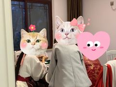 -麓舍全景太湖温泉别墅团建拓展会议亲子
