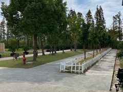 -前小桔亲子创意农场·草莓采摘·露营烧烤