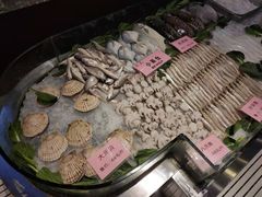 -东方御宴海鲜酒楼(棕泉酒店)