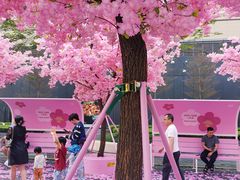 -东莞松山湖万象汇