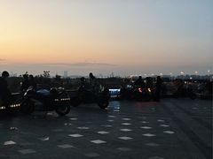 -合肥滨湖国家森林公园