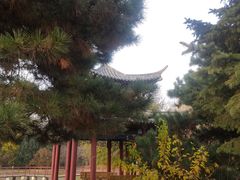 -黑龙江省森林植物园