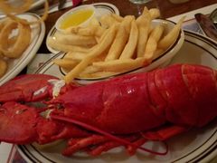 boiled medium lobster-Union Oyster House