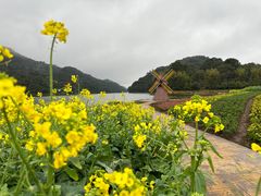-广州市石门国家森林公园