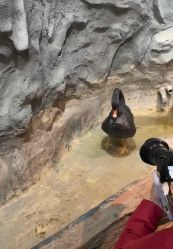 -Zoolung Zoolung动物主题公园(海信广场店)