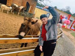 -HERRE·FARM 赫尔露营农场·团建聚会包场