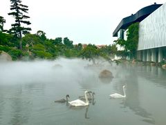 -罗红摄影艺术馆