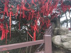 -缙云山景区