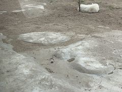 -齐齐哈尔龙沙动植物园
