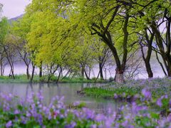 -天龙顶山地公园