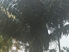 -打洛口岸