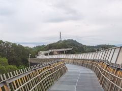 -福道