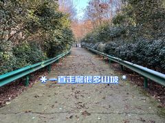-南京老山国家森林公园