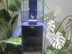 -山东柏宁水族批发广场