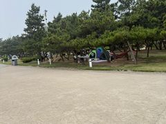 -日照灯塔风景区